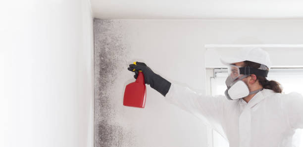 Best Mold Removal Near Me  in North Potomac, MD